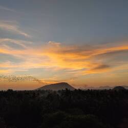 Watching the sunset and bats feeding from Phnom Sampow
