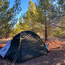 A happy tent in the morning