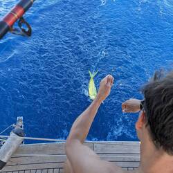 Die letzten Zentimeter sind die kritischen...