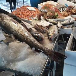 Vista del ponte dal vaporetto