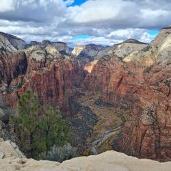 Blick taleinwärts Richtung "Narrows"