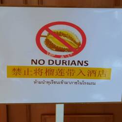 Und natürlich das obligatorische Verbot, Durian, die Stinkfrucht, mit ins Hotelzimmer zu nehmen....