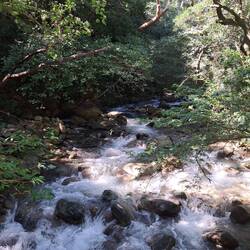 Im Nationalpark