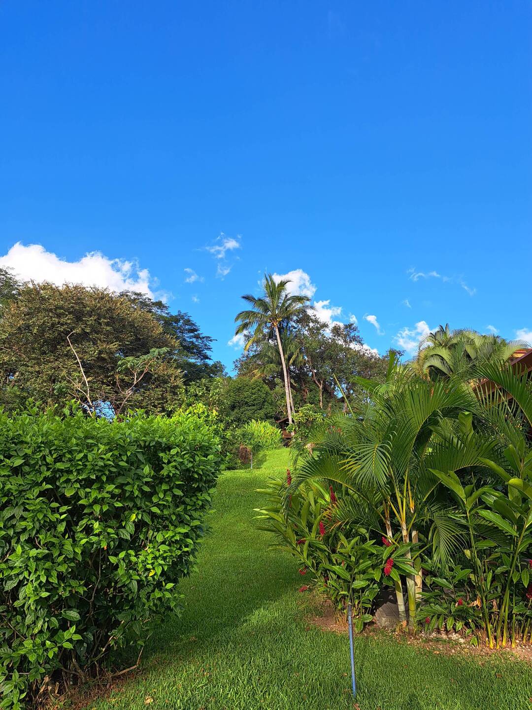 Im Garten der Hacienda