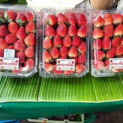 Die schmecken hierzulande nicht!