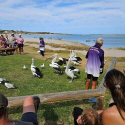 Which got fed once a day - it got pretty chaotic at tines