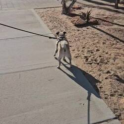 Bosley didn't get on with one of the locals