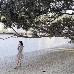 Lachende Möven 😂🪶