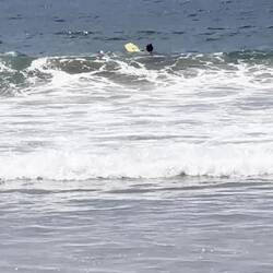 Wellenreiten am Hotwater Beach