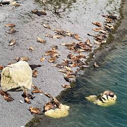 Die lassen sich nicht stören 👍
