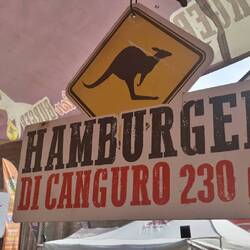 Canguro in piazza Ospitale