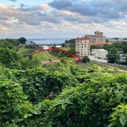 View over river snd harbour from Pine Garden