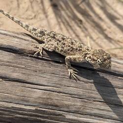 Less garish, still pretty