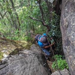 Bruce tackles a climb