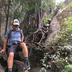 Coming down the root ladder