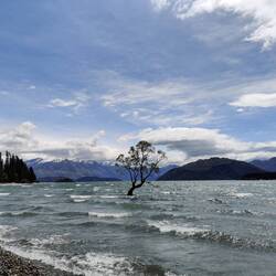 Clause dans la gueule 3