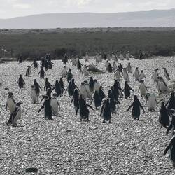 Wie früher, Schichtwechsel