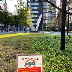 Our old stomping ground