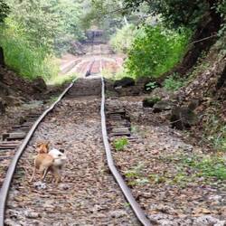 Auf dem Weg zur Stahlbrücke
