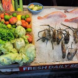 Ein reiches Angebot f(r)ischer Meeresbewohner