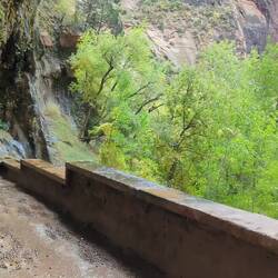 The Weeping Rock Overlook