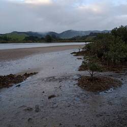 Crossing the Horahora River at 6.30 am after 1.5 hour hike because of the tide