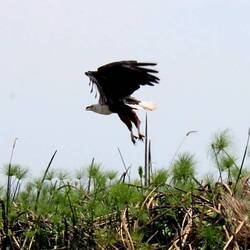 Abflug