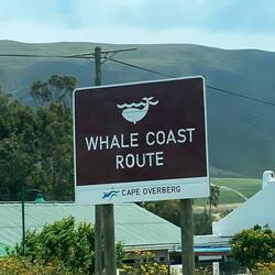 Welcome to Hermanus