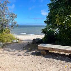 Nature Trail on Raymond Island