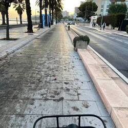 Viele Radwege schwarz von Palmfrüchte... rutscht etwas