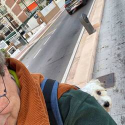 Mit Bongo im Rucksack u eBike