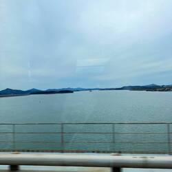 Views from the airport shuttle 🌊