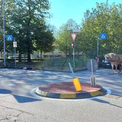 Un calesse in strada