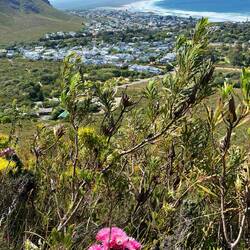 View over Hermanus