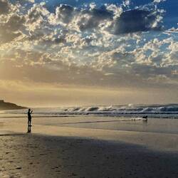 Long beach - loved by dogs