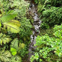 Der Blick nach unten