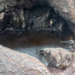 L'acquasantiera animista