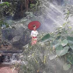 Fotoshooting mit siamesischer Grazie