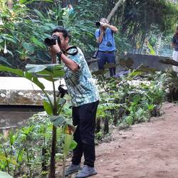 Die Fotoprofis schleppen enorme Brennweiten durch die Gegend