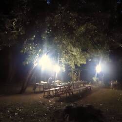 Had a local meal with all sorts of food and a spit pig