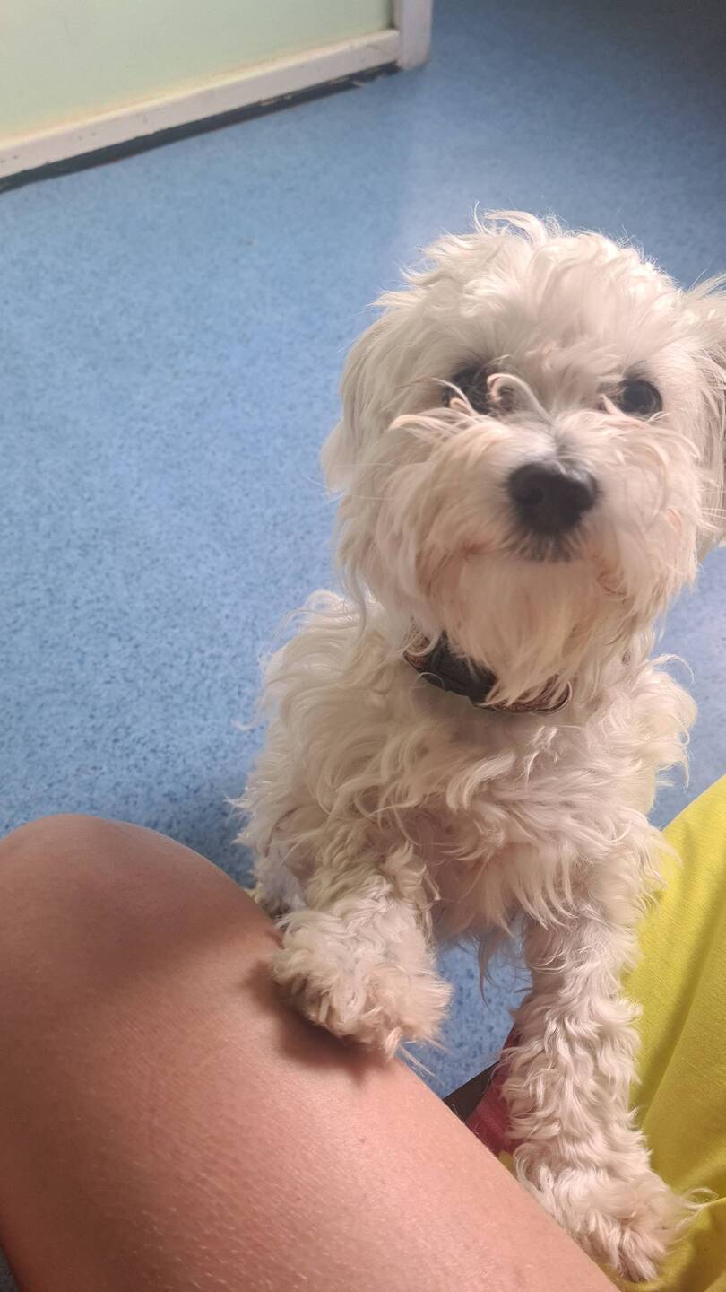 Heute hat Molly bei mir geschlafen