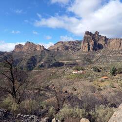 Im Schein der Nachmittagssonne