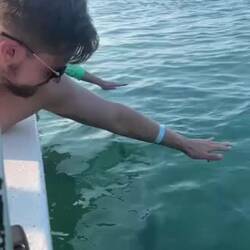 Der Tarpun-Angriff 😜