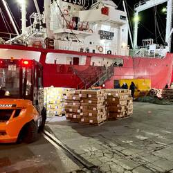 Fischpaste in Kartons wird händisch verladen