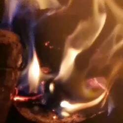 Z U H A U S E 💜 🤍 ❤️ 🫶 ♥️ 💜 🤍