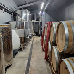 18'000 l hat der Winzer letztes Jahr produziert auf den 5 Hektaren.