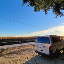 Morgenstimmung südlich von Nîmes