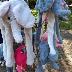 Kuschelige Elefantenmützen gegen den hiesigen Frost... 🤣😂