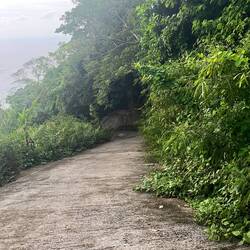 So war der Weg die ganze Zeit 👎🏼📈