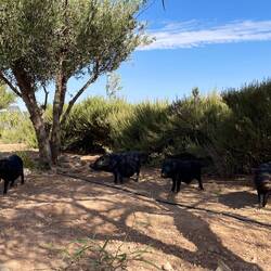 Unsere Badetuchdiebe